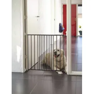 Dogspace hondenhekjes