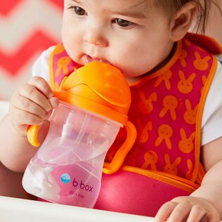 B.box Sippy Cup 240ml