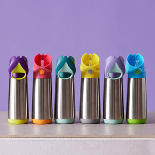 B.box geïsoleerde drinkfles 500ml