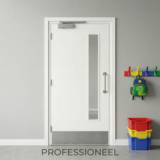 Professioneel (kinderdagverblijf, school, etc)