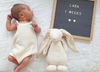 Moonie knuffel the humming friend SILVER