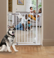 dreambaby ava traphek