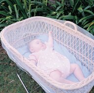 Insectennet wandelwagen / buggy