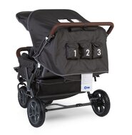 Wandelwagen new Triplet voor 3 kinderen + regenhoes + zonnekap