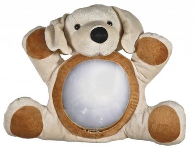 Little Luca autospiegel | Hond Little Luca autospiegel | Hond